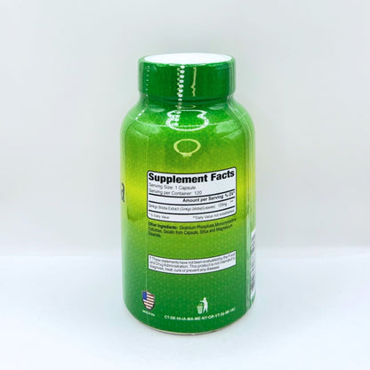 GINKGO BILOBA 120 MG 120 CÁPSULAS